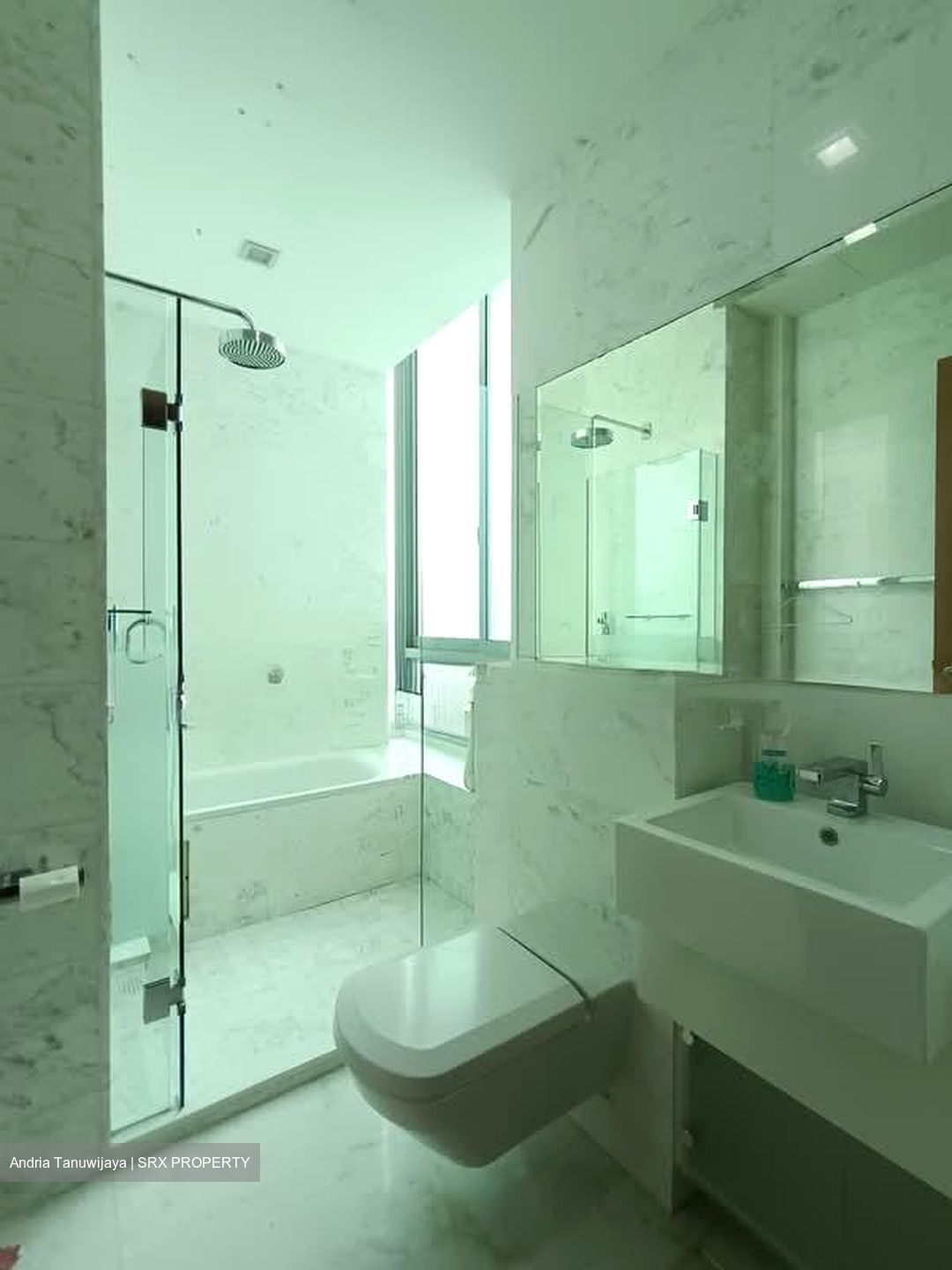 One Devonshire (D9), Condominium #602884581
